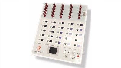 PEG 認知機能互動式智能插棒